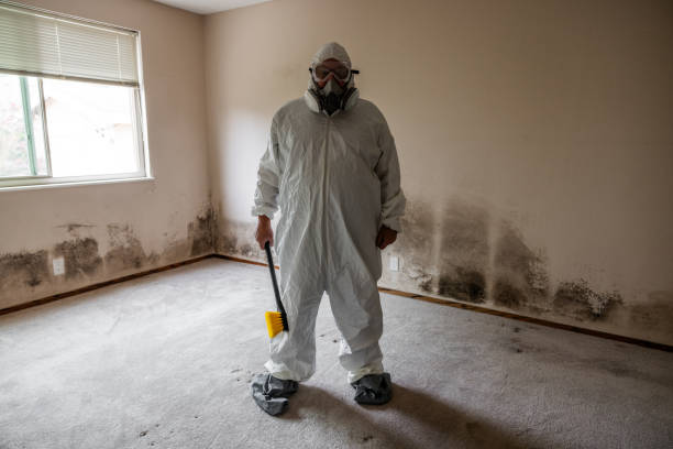 Professional Mold Inspection, Removal & Remediation in Manchester Center, VT